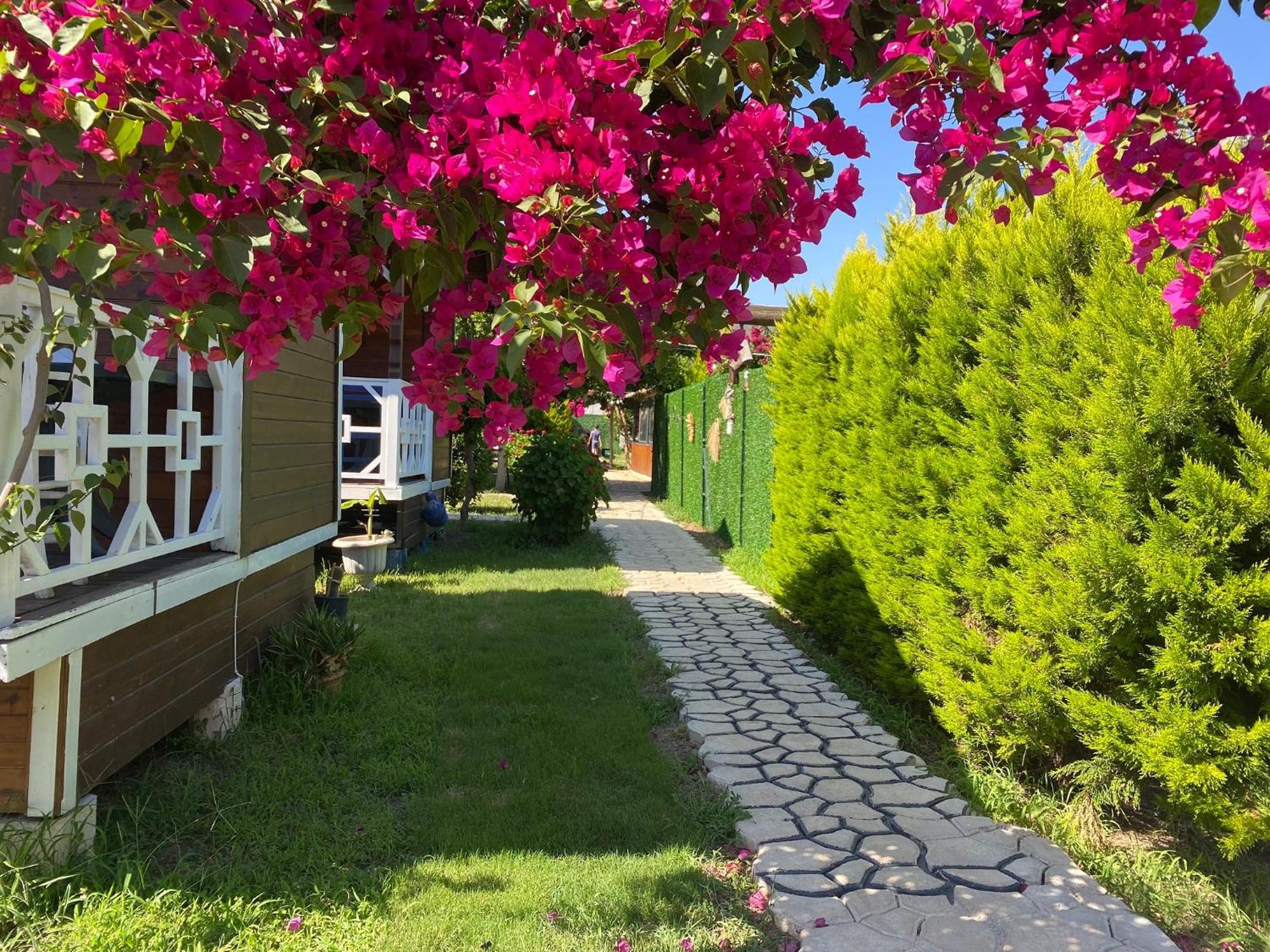 Karaoez Ada Bungalows & Villa Zimmer foto